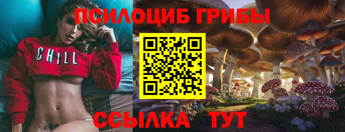 Галлюциногенные грибы ЛСД  Вход с VPN  Сегежа  Галлюциногенные грибы MAGIC MUSHROOMS 